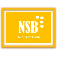 Logo NS Andro